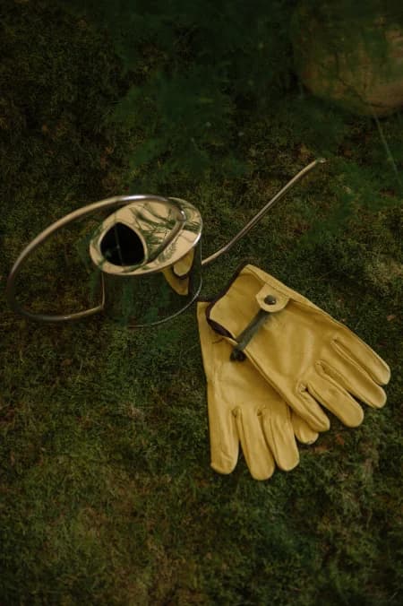 A steel watering can and leather gardening gloves lying on mossy ground