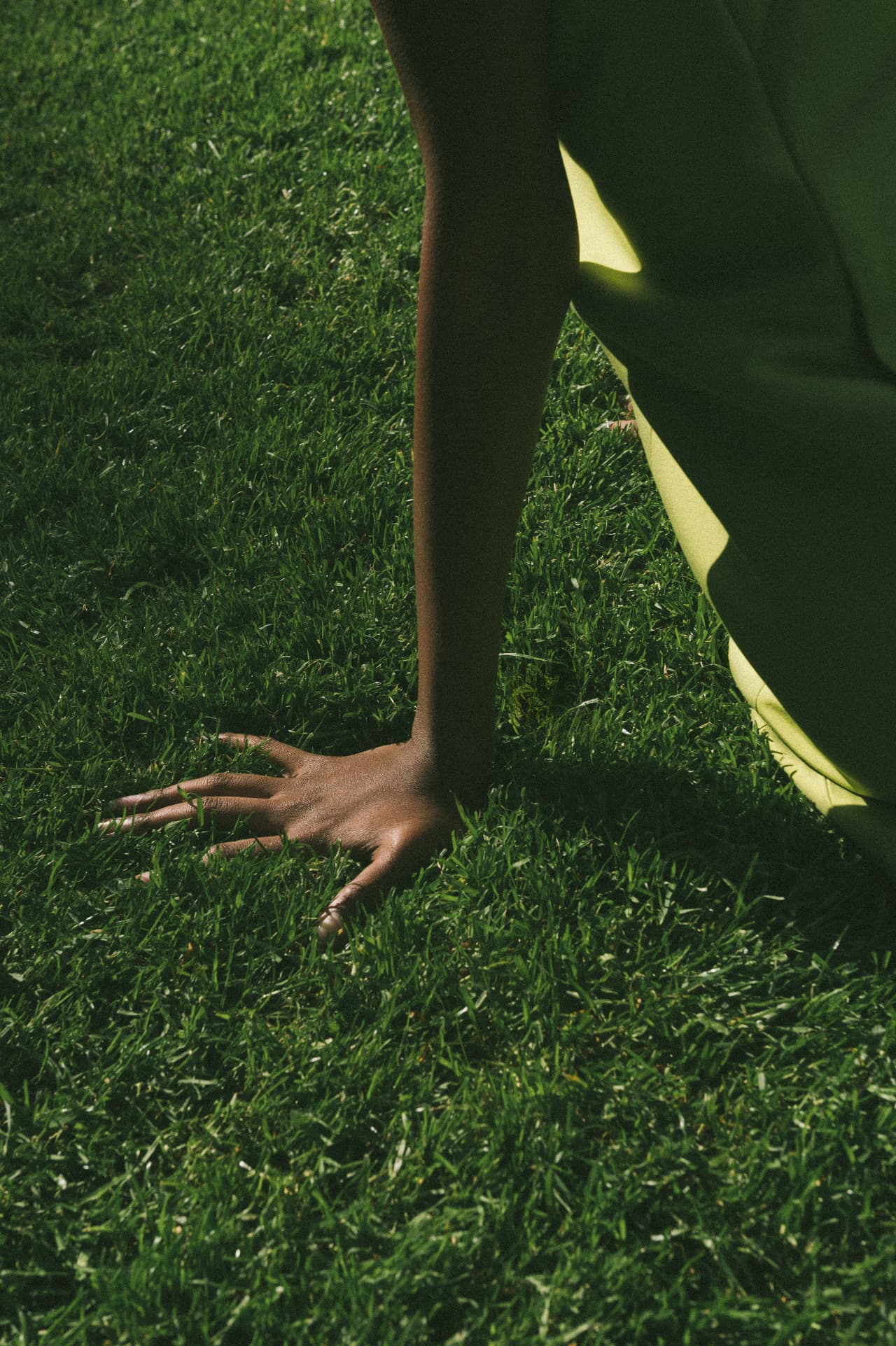 A hand pressed into sunlit grass