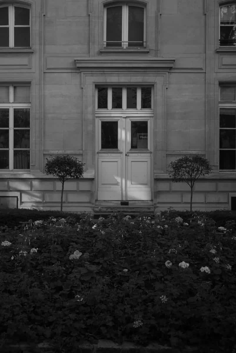 The front of Casa Walnut in late afternoon light, flower beds in the foreground
